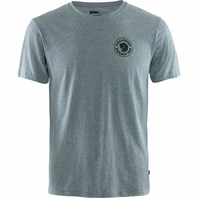 Men's Fjällräven 1960 Logo T Shirts Blue | 0829HAGOK