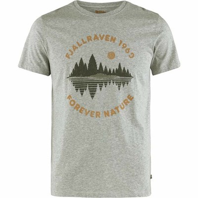 Men's Fjällräven Forest Mirror T Shirts Grey | 0741AXJDM