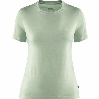 Women's Fjällräven Abisko T Shirts Green | 0456UPKYA