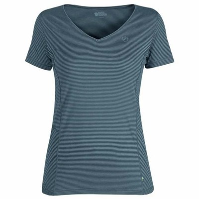 Women's Fjällräven Abisko T Shirts Navy | 6487HREBC