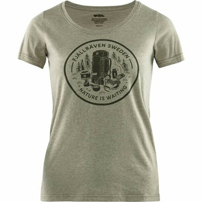 Women's Fjällräven Fikapaus T Shirts Green | 1620YUJVP