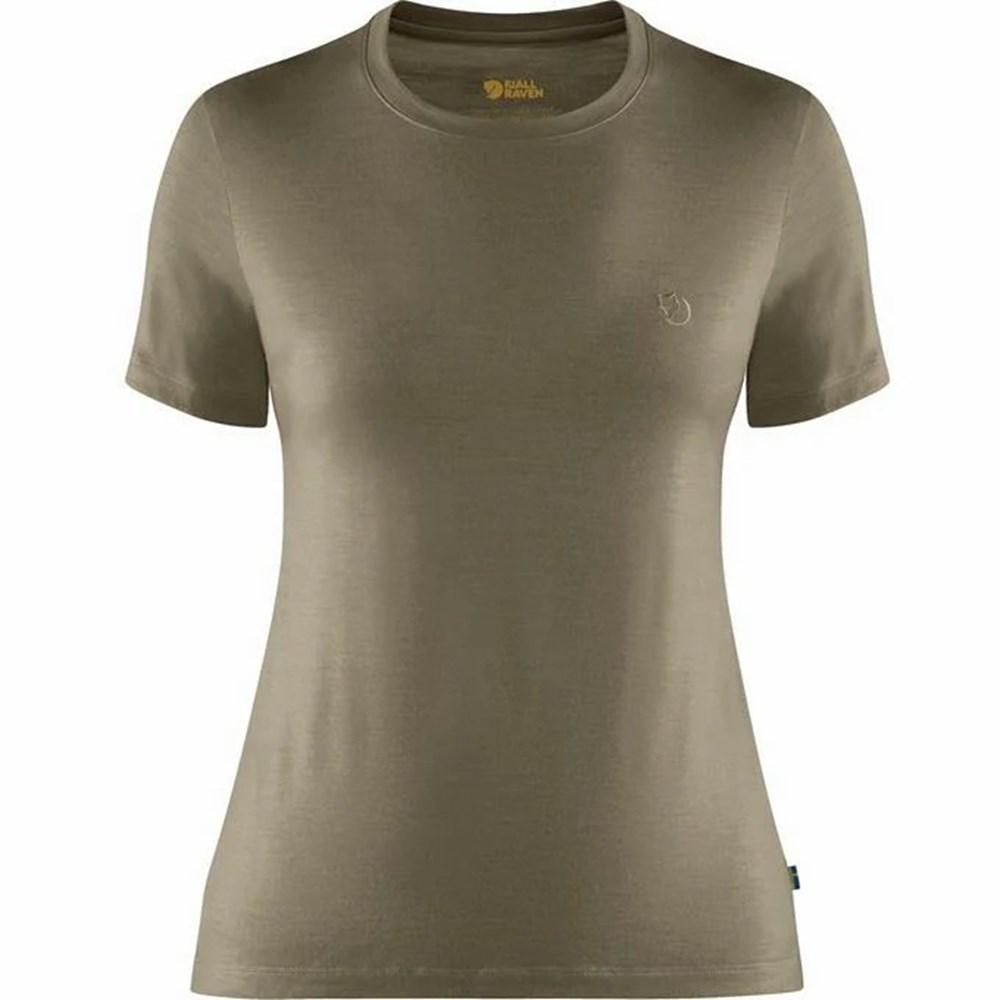 Women\'s Fjällräven Abisko T Shirts Light Olive | 7204EDLPI