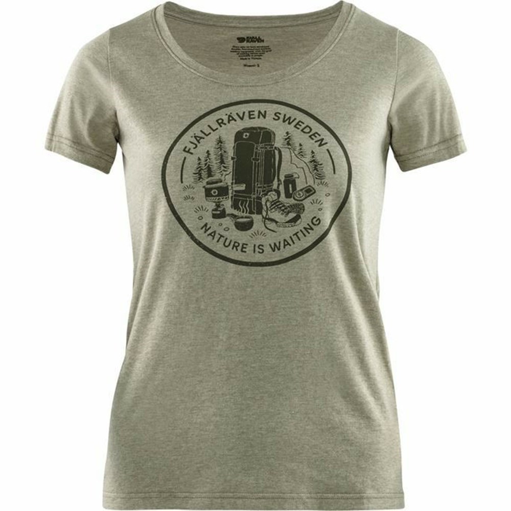 Women\'s Fjällräven Fikapaus T Shirts Green | 1620YUJVP